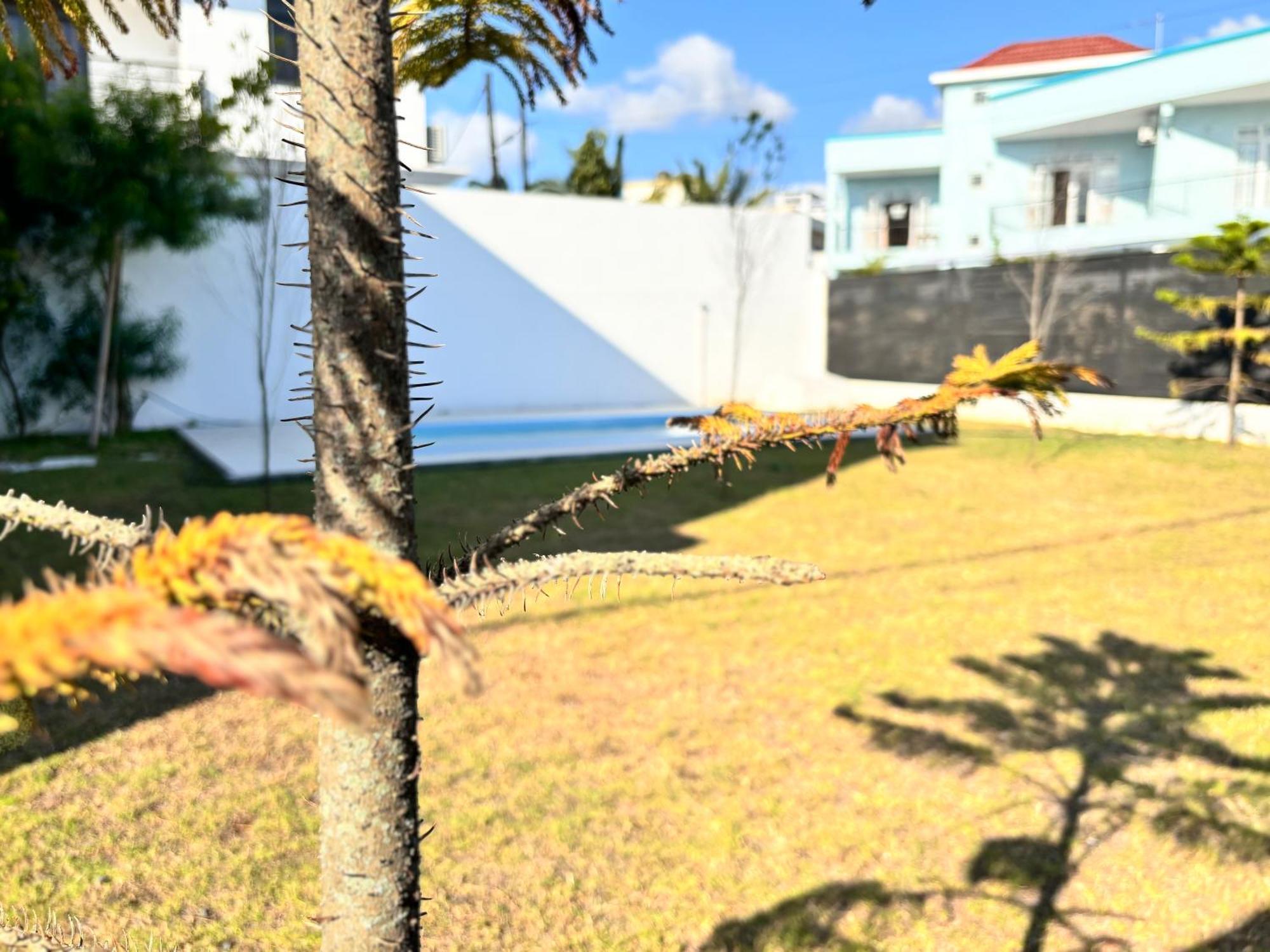 Maison Mont Choisy - One Or Two Bedrooms Apartment 特鲁欧克比赫斯 外观 照片